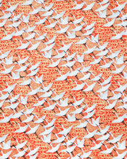 Japanese chiyogami paper featuring white flying cranes on an red background with metallic gold accents.