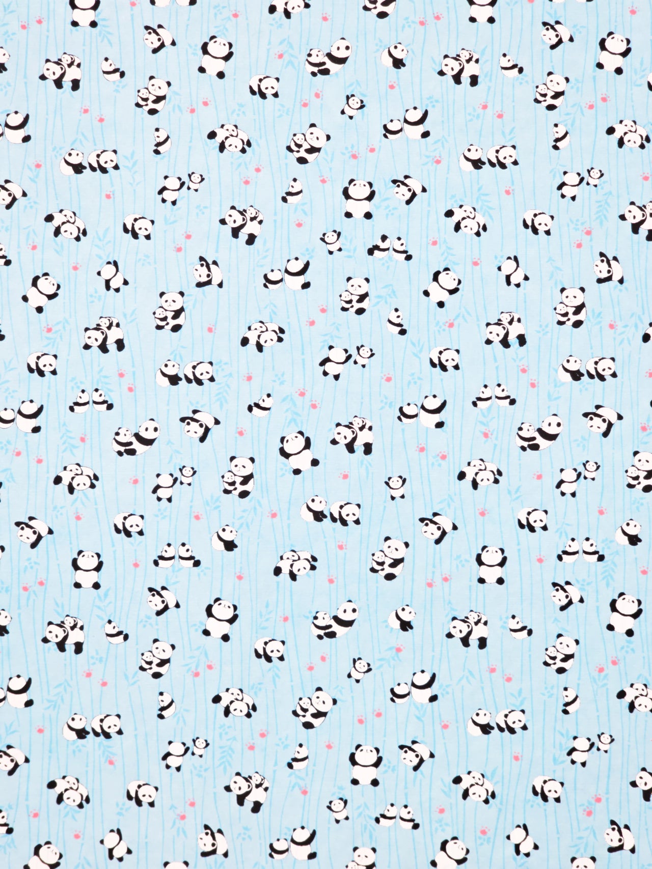 0691 Pandas on Light Blue