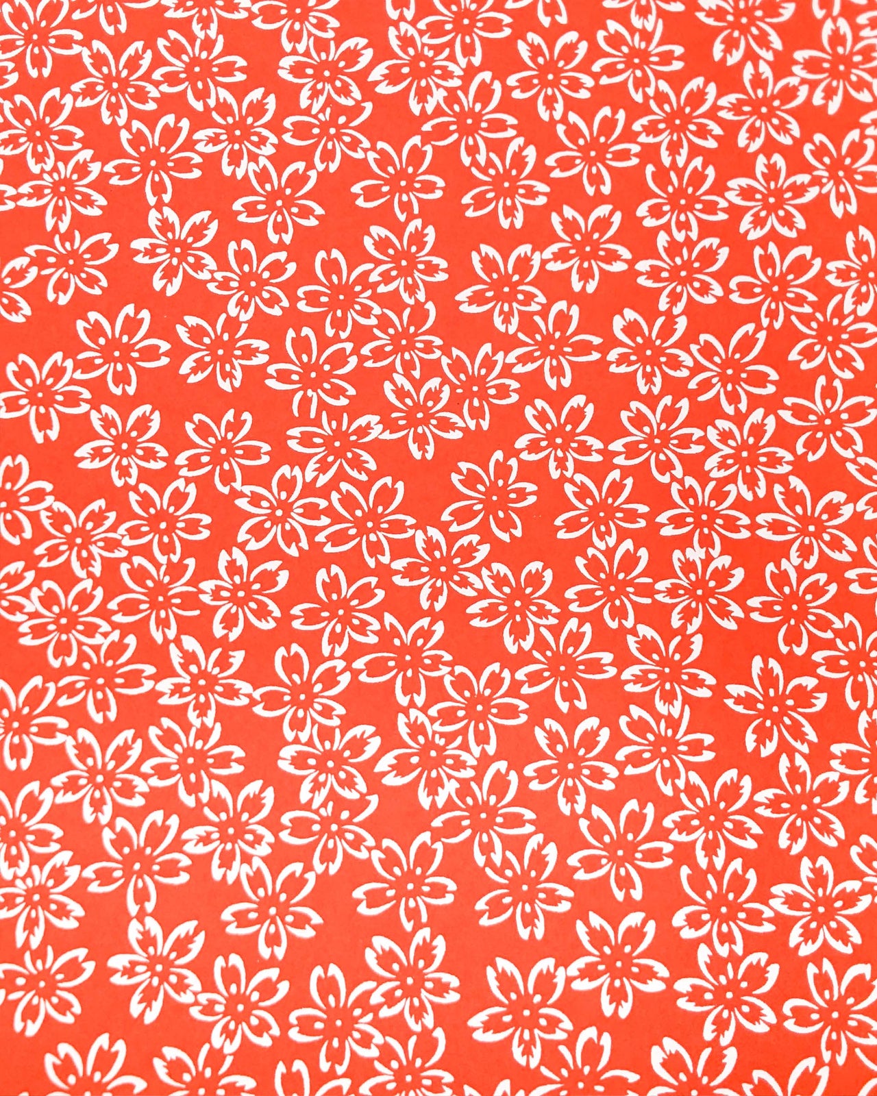 0863 Cherry Blossom Outlines on Red