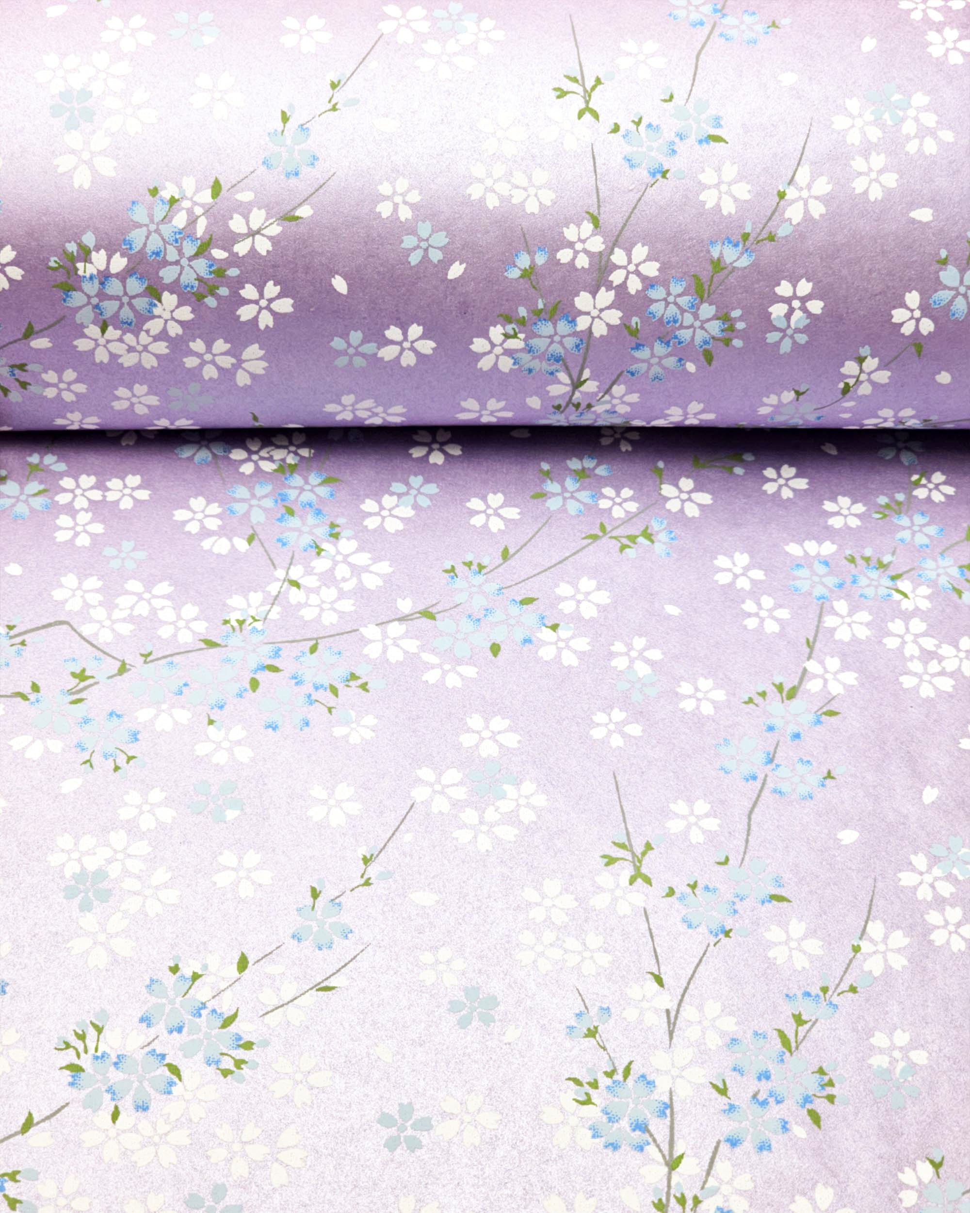 0400 White & Blue Cherry Blossoms on Pearlescent Purple