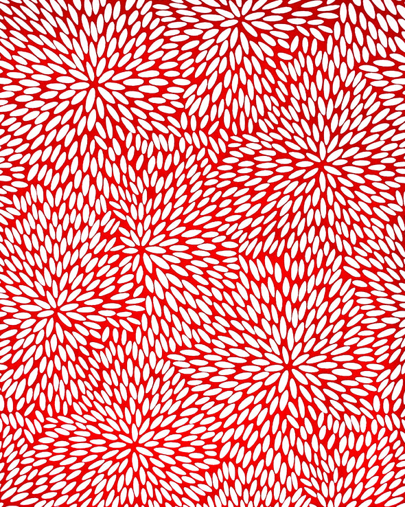 0596 White Bursts on Red
