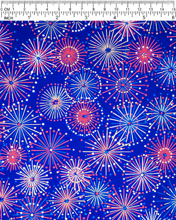 0597 Fireworks on Blue