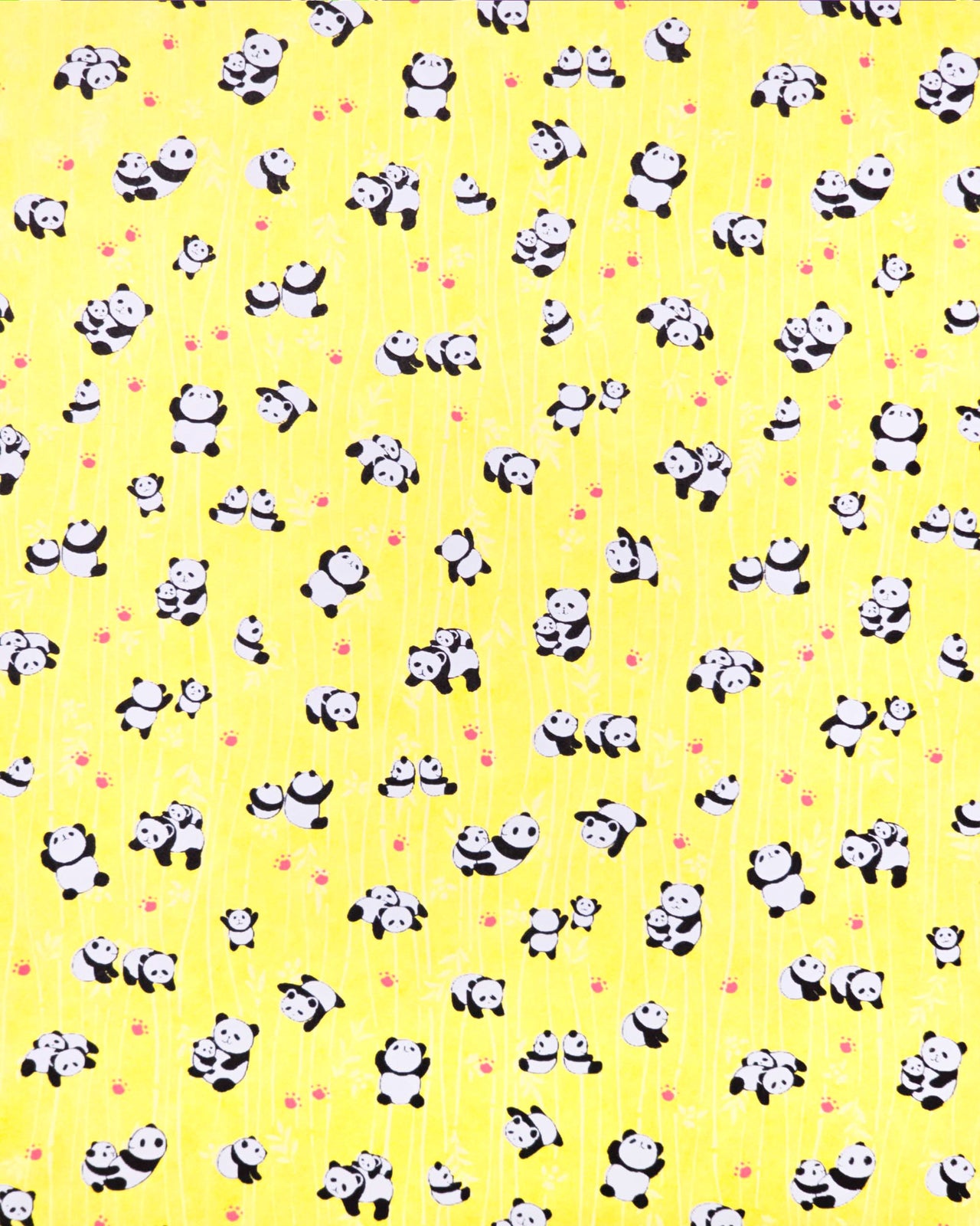 0690 Pandas on Yellow