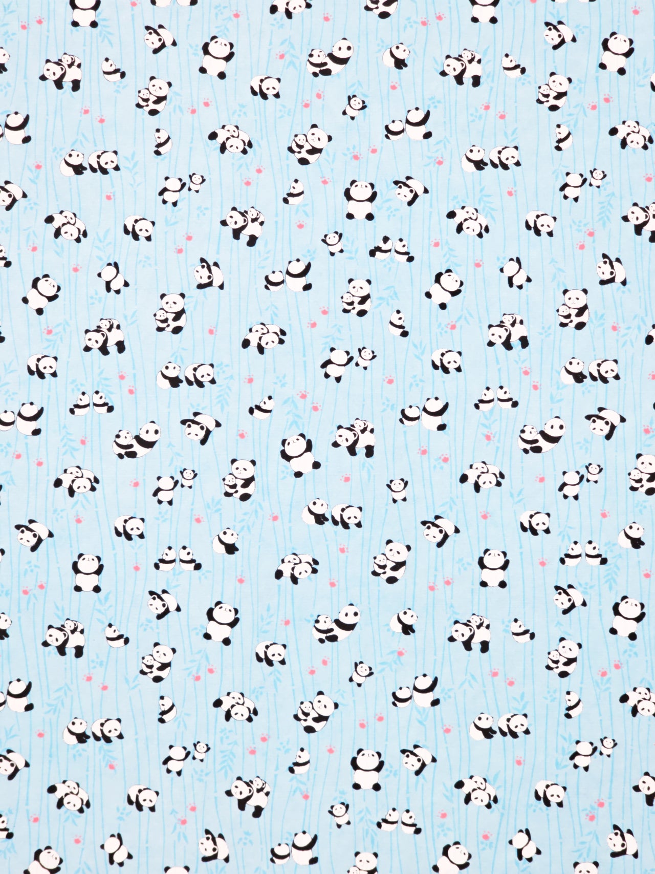 0691 Pandas on Light Blue