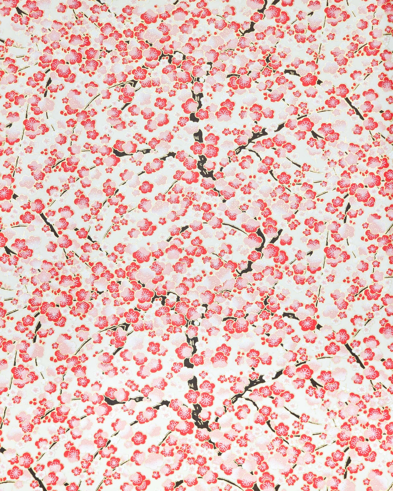 0260 Red Plum Blossom Tree on Cream