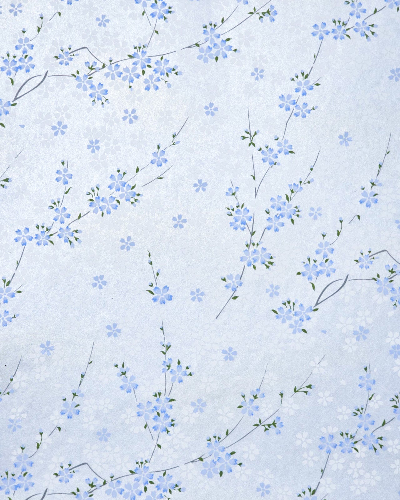 0811 Cherry Blossoms on Pearlescent Blue