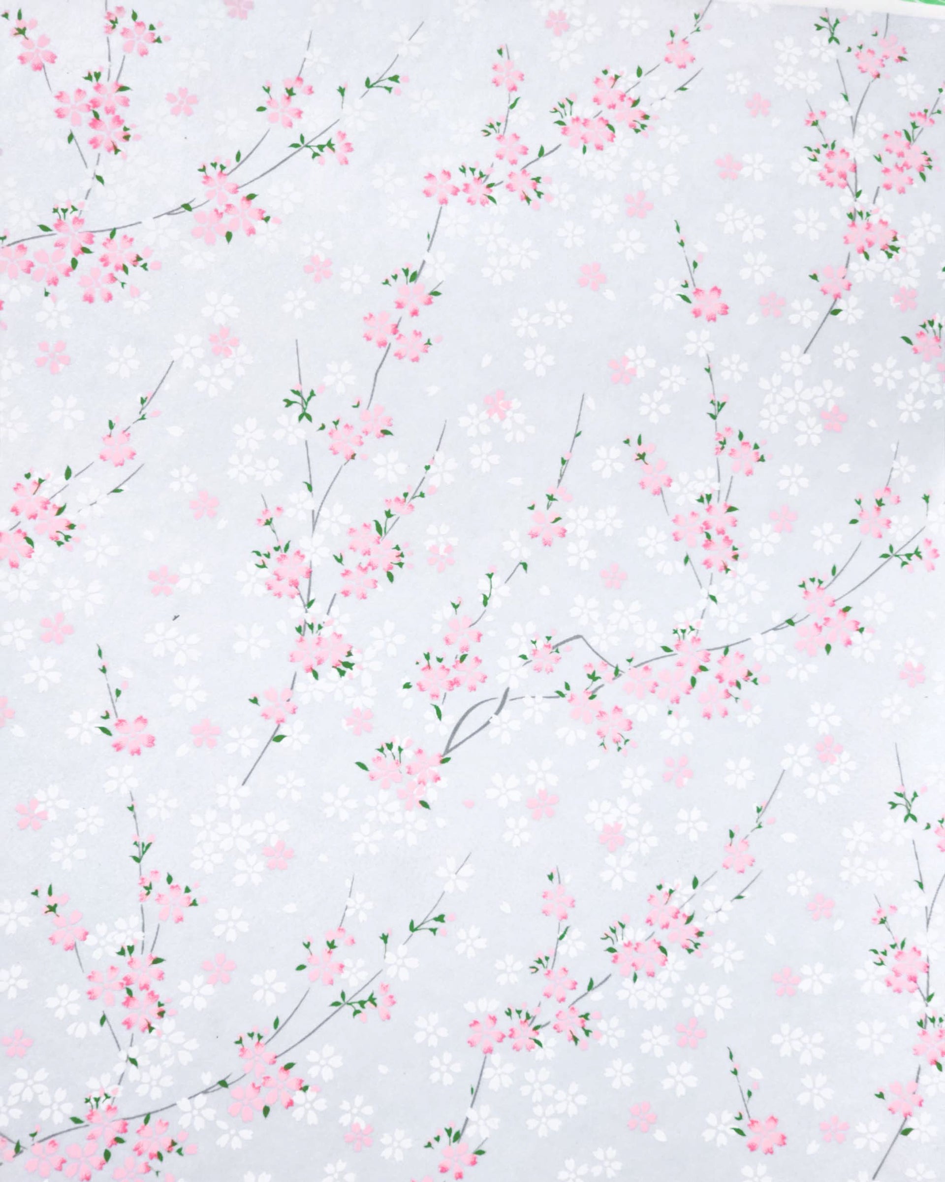 Japanese chiyogami paper featuring pink and white cherry blossoms on a pearlescent pale blue gray background.