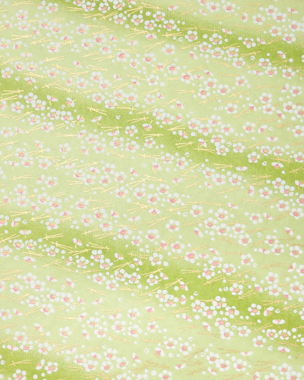 Japanese chiyogami paper featuring small white plum blossom with pink centers and gold matsuba (pine needles) on a green gradient background with metallic gold details. 
