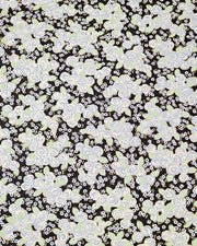 Japanese chiyogami paper featuring blue and white roses with light green leaves and smaller white flowers on a black background with metallic gold details. 