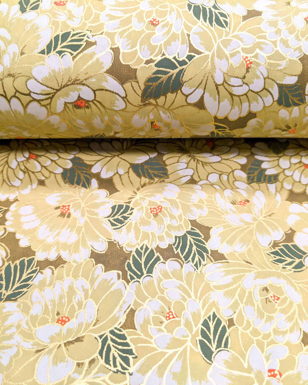 Japanese chiyogami paper featuring large yellow chrysanthemums with green leaves on a brown background with metallic gold details, and metallic gold details, shown rolled to highlight the design.