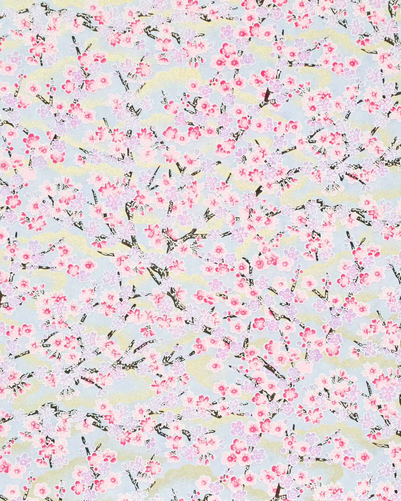 Japanese chiyogami paper featuring light pink and light purple cherry and plum blossoms with black branches on a light blue background with metallic gold details.