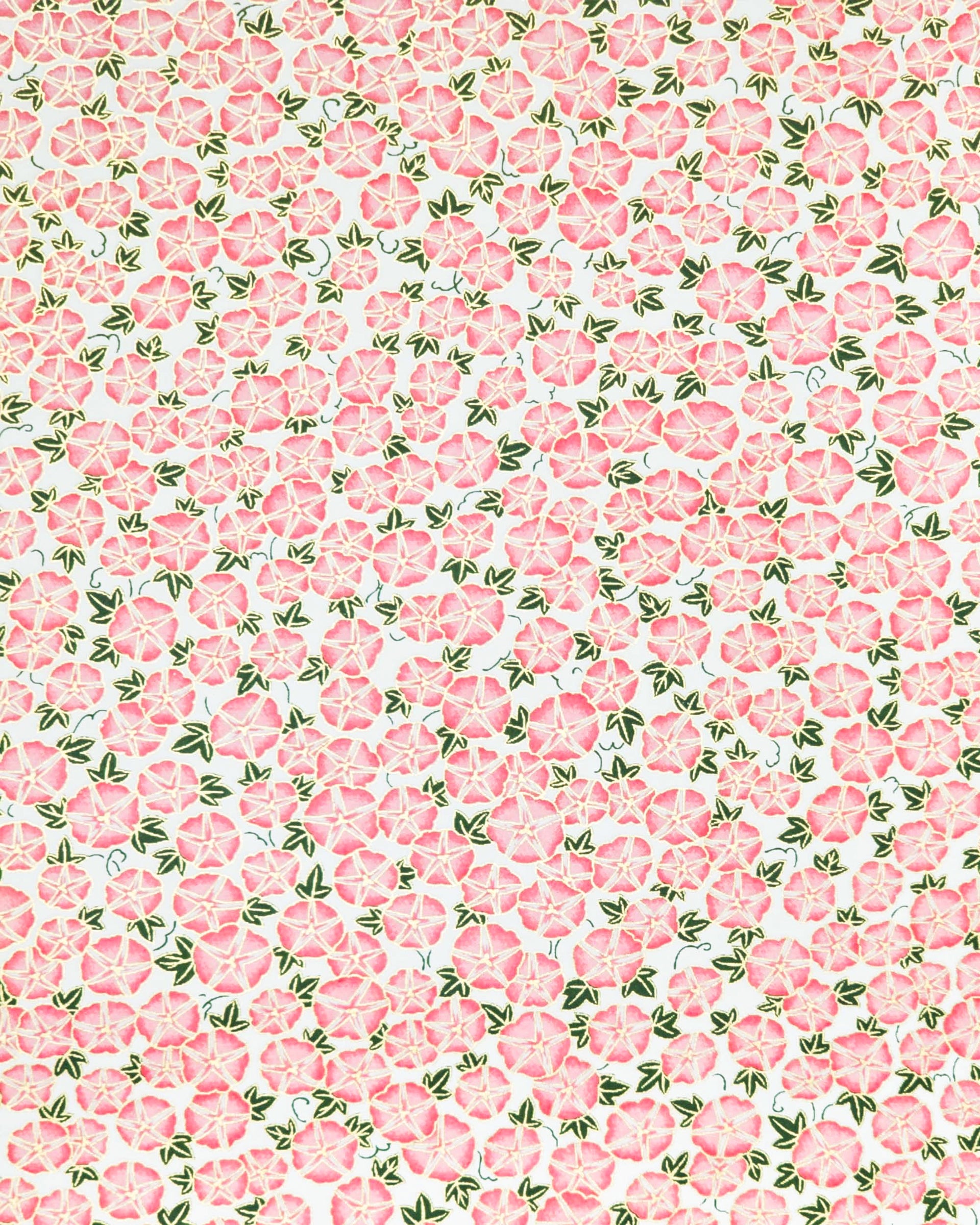 Japanese chiyogami paper featuring pink morning glory flowers with green leaves on a white background with metallic gold details.