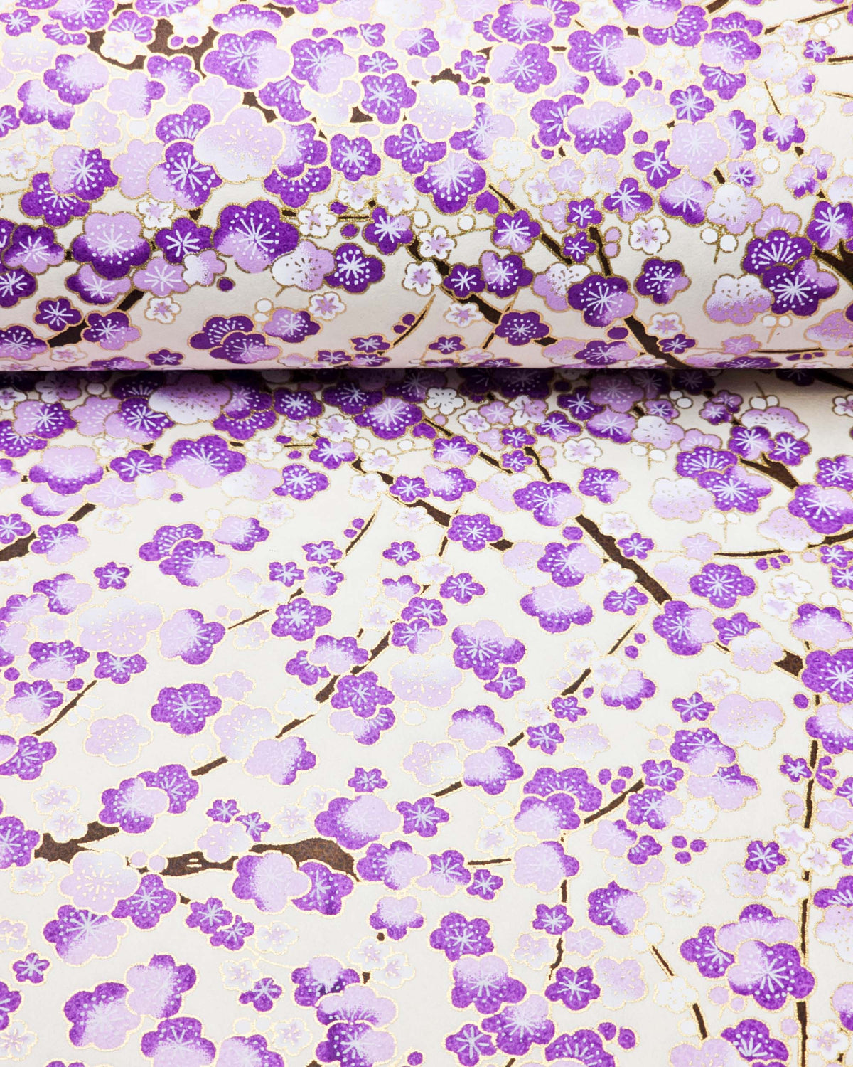 Japanese chiyogami paper featuring purple and white plum blossom trees with brown branches on a cream background with metallic gold details, shown rolled to highlight the design.
