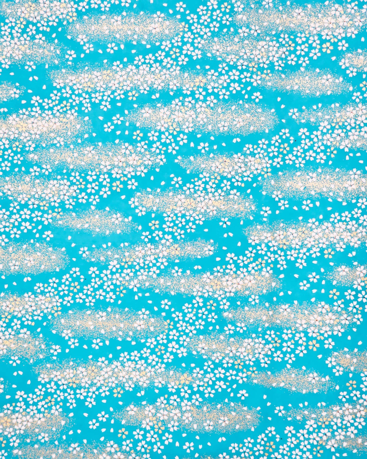 Japanese chiyogami paper featuring small white and gold cherry blossoms on a turquoise blue background with metallic gold details.