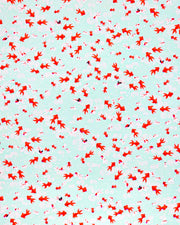 Japanese chiyogami paper featuring red orange and white koi fishes on a turquoise blue background with white water ripples.
