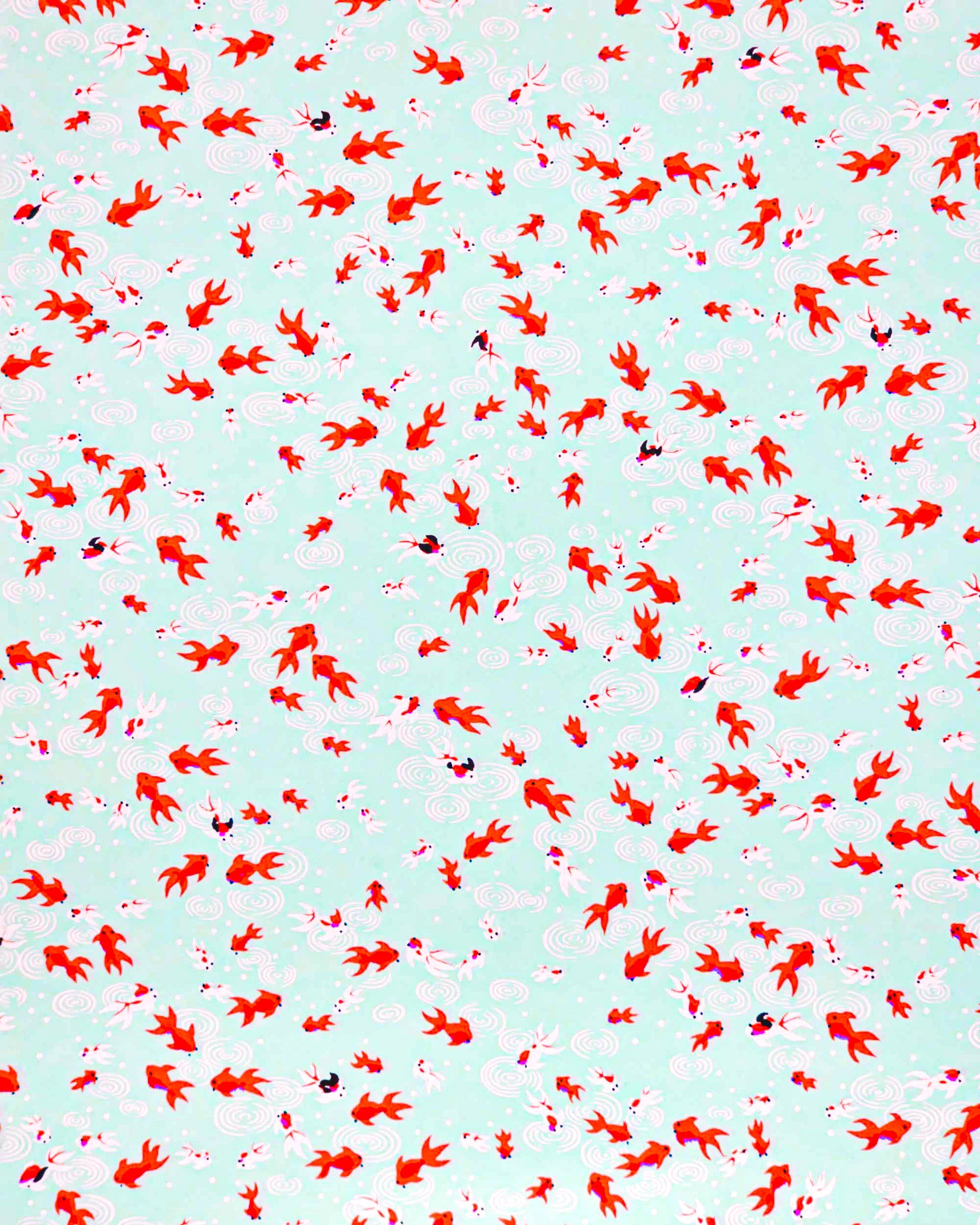 Japanese chiyogami paper featuring red orange and white koi fishes on a turquoise blue background with white water ripples.