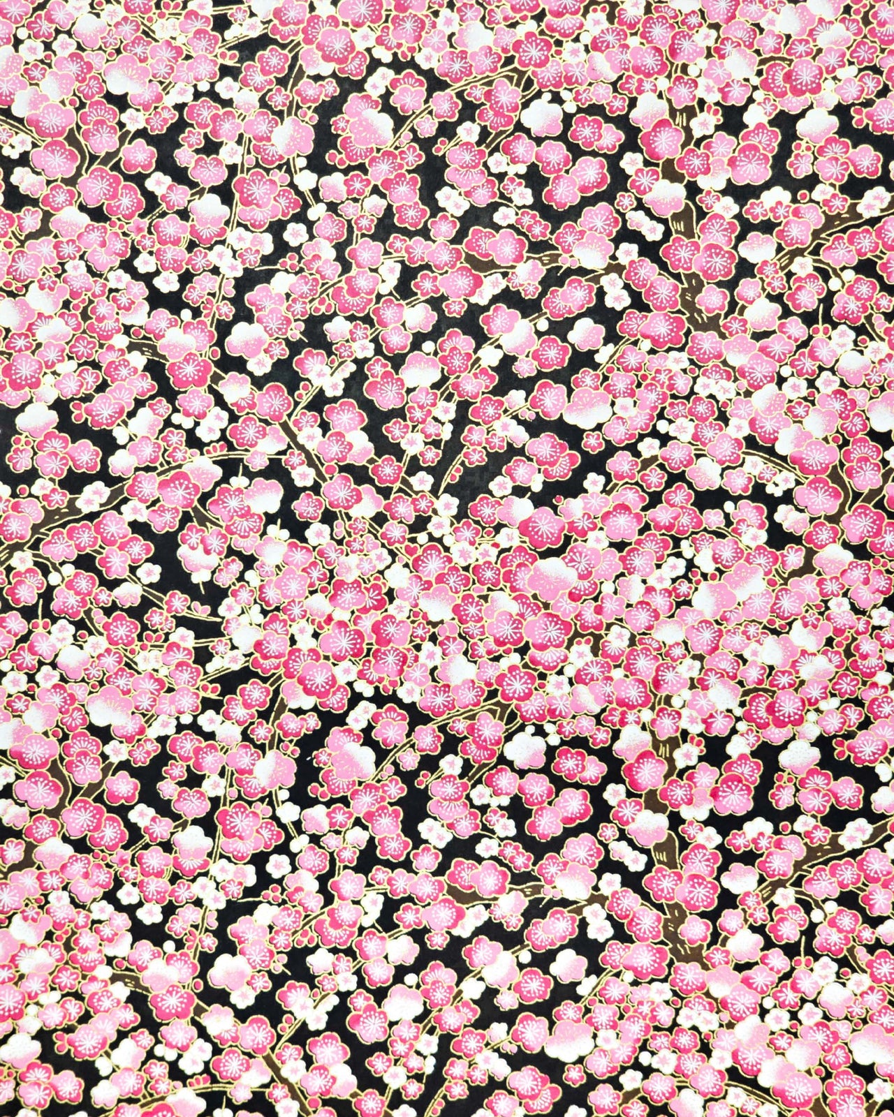 Japanese chiyogami paper featuring pink and white plum blossom trees with brown branches on a black background with metallic gold details.