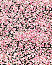 Japanese chiyogami paper featuring pink and white plum blossom trees with brown branches on a black background with metallic gold details.