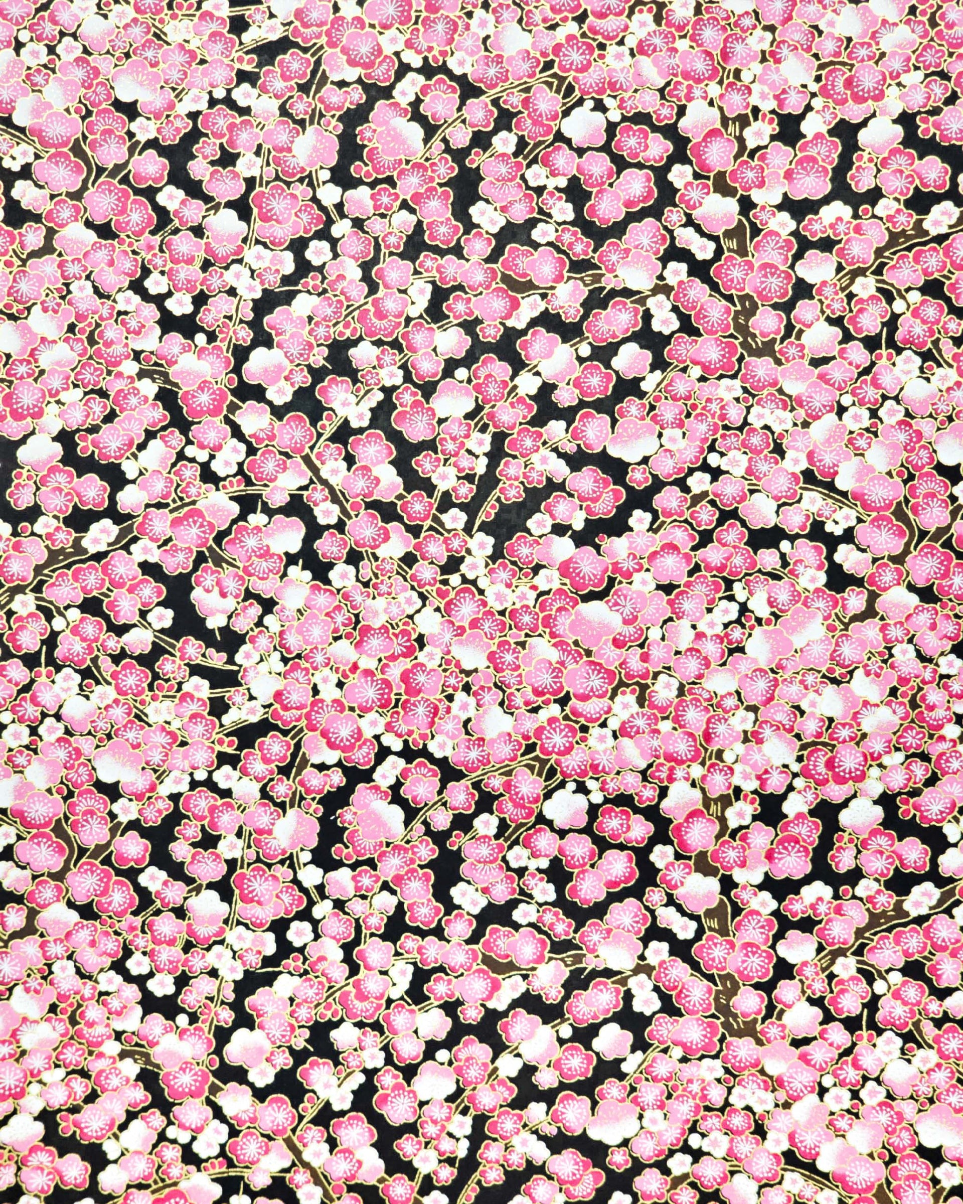 Japanese chiyogami paper featuring pink and white plum blossom trees with brown branches on a black background with metallic gold details.