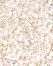 Japanese chiyogami paper featuring pink and white detailed plum blossoms with brown branches and green leaves on a white background with metallic gold details.