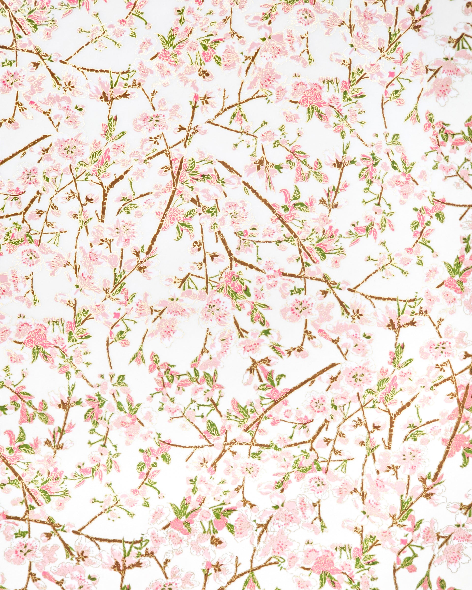 Japanese chiyogami paper featuring pink and white detailed plum blossoms with brown branches and green leaves on a white background with metallic gold details.