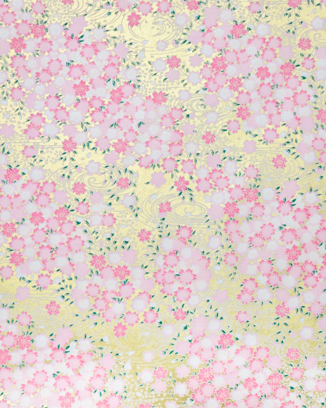 Japanese chiyogami paper featuring pink and white cherry blossoms on a metallic gold background.