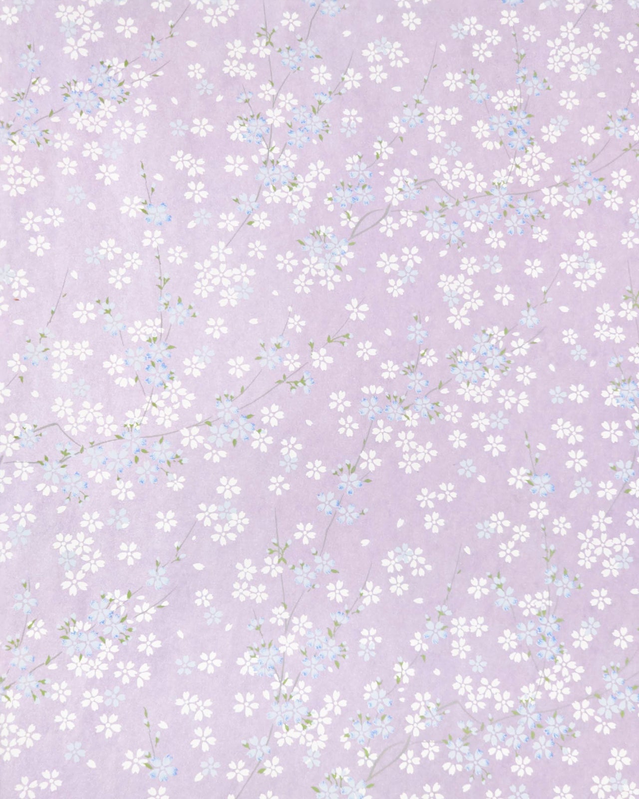 Japanese chiyogami paper featuring light blue and white cherry blossoms with green leaves and branches on a pearlescent light purple background.