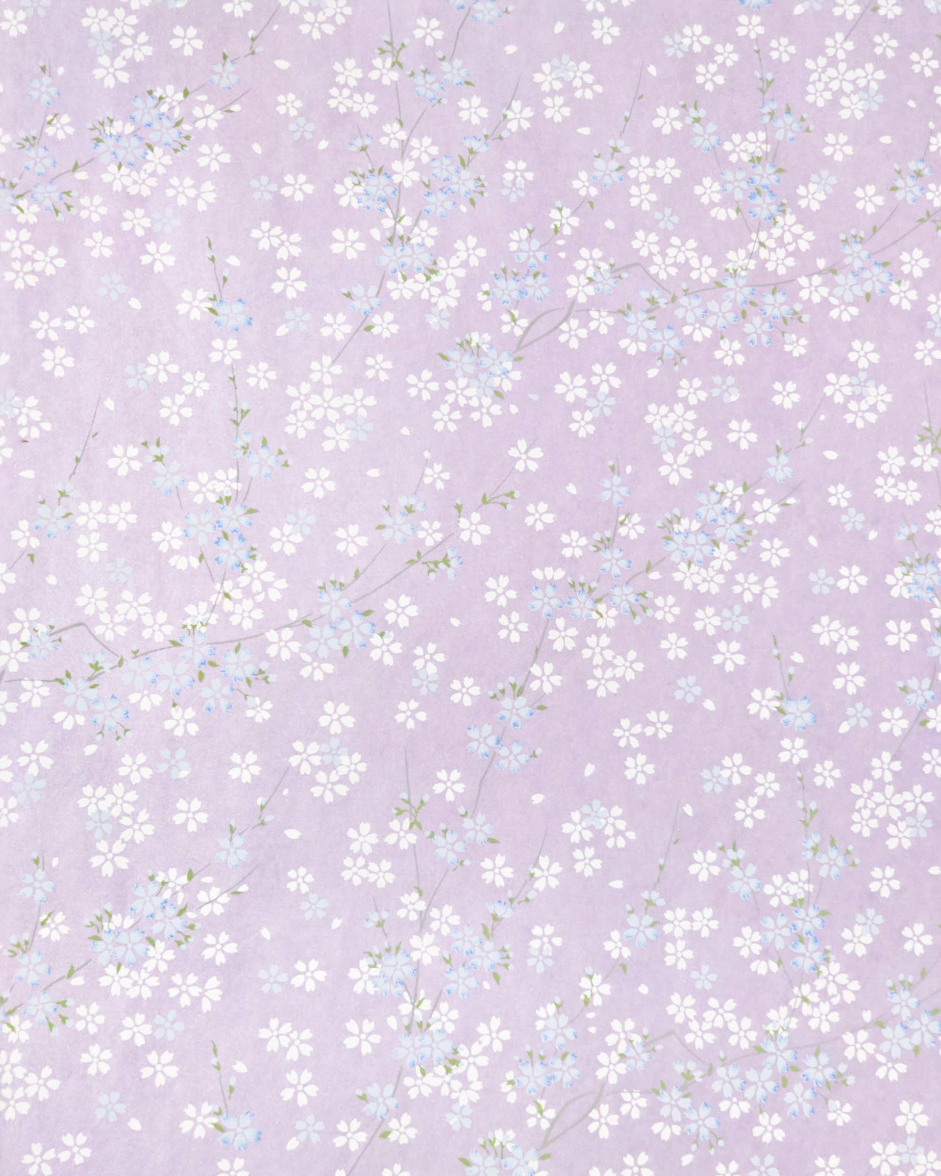 Japanese chiyogami paper featuring light blue and white cherry blossoms with green leaves and branches on a pearlescent light purple background.