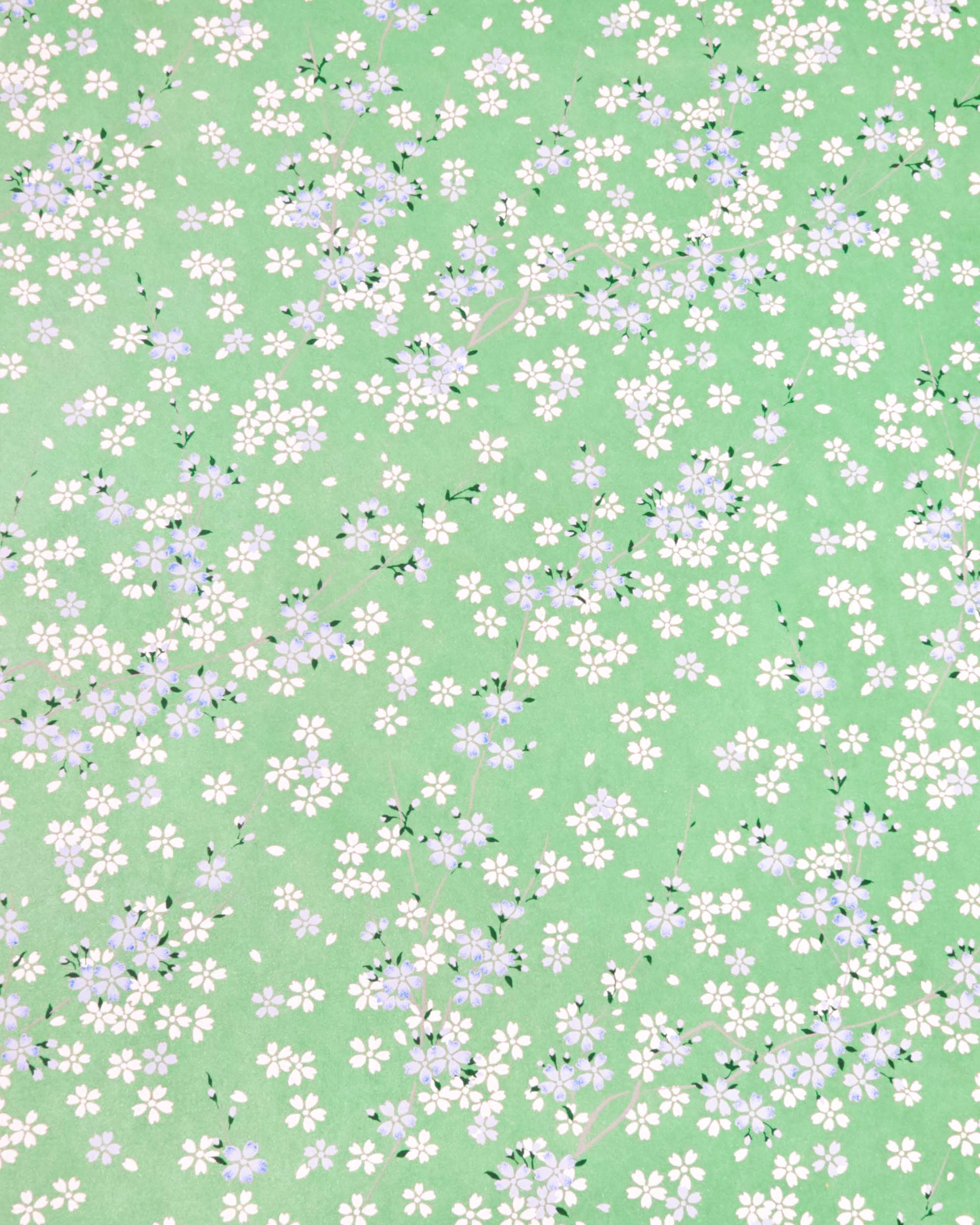 Japanese chiyogami paper featuring light blue and white cherry blossoms with green leaves and branches on a pearlescent green background.
