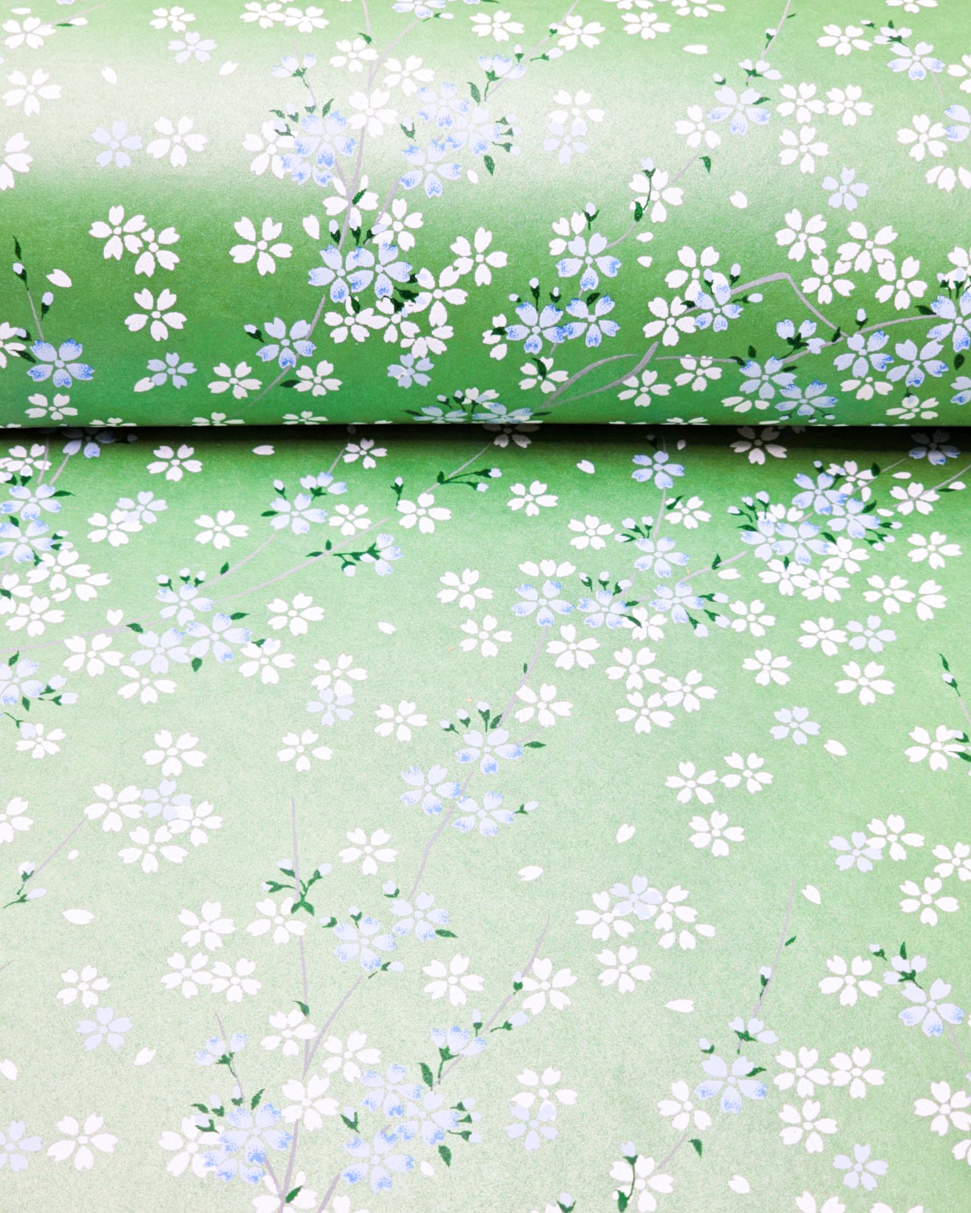 Japanese chiyogami paper featuring light blue and white cherry blossoms with green leaves and branches on a pearlescent green background.
