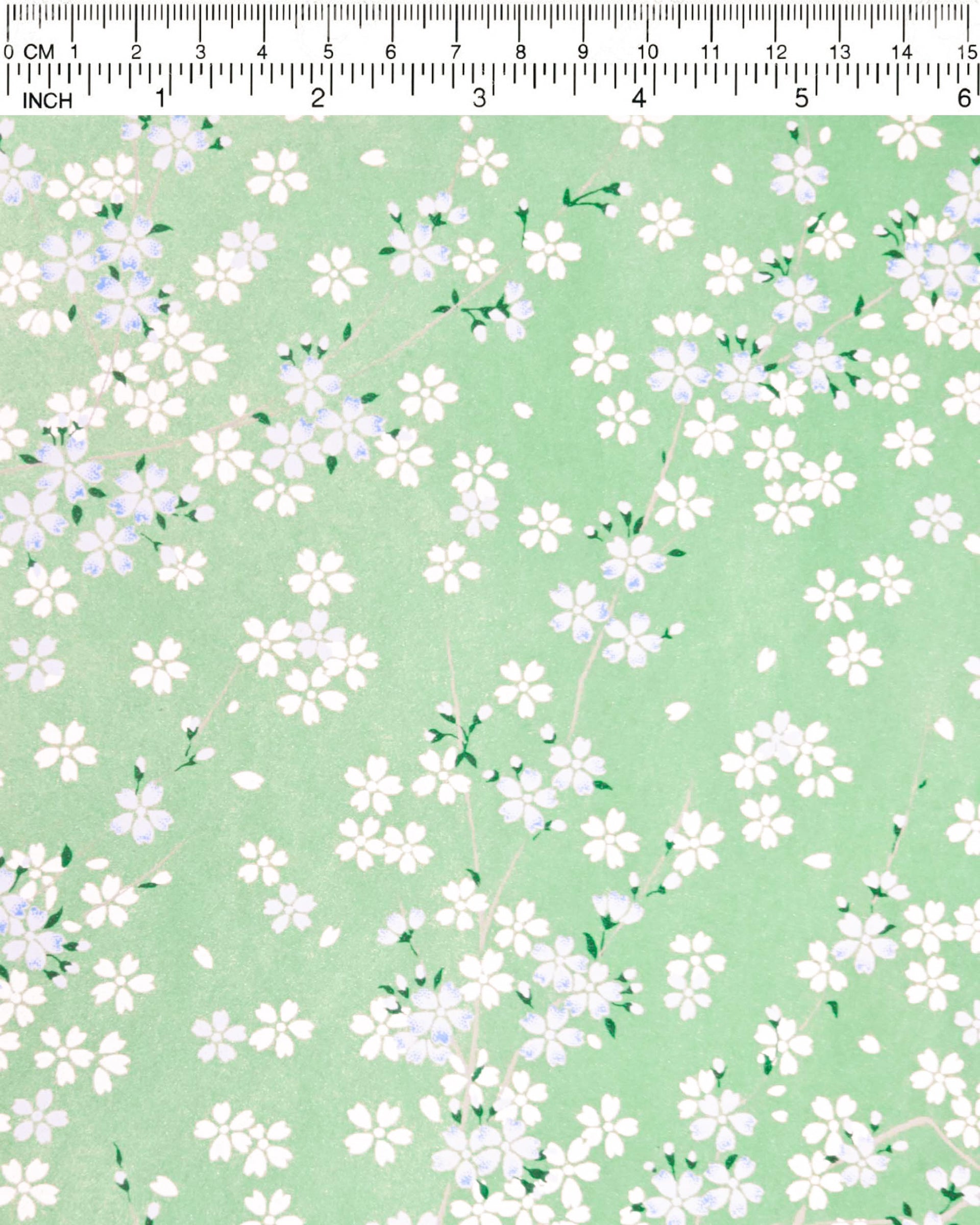 Japanese chiyogami paper featuring light blue and white cherry blossoms with green leaves and branches on a pearlescent green background.