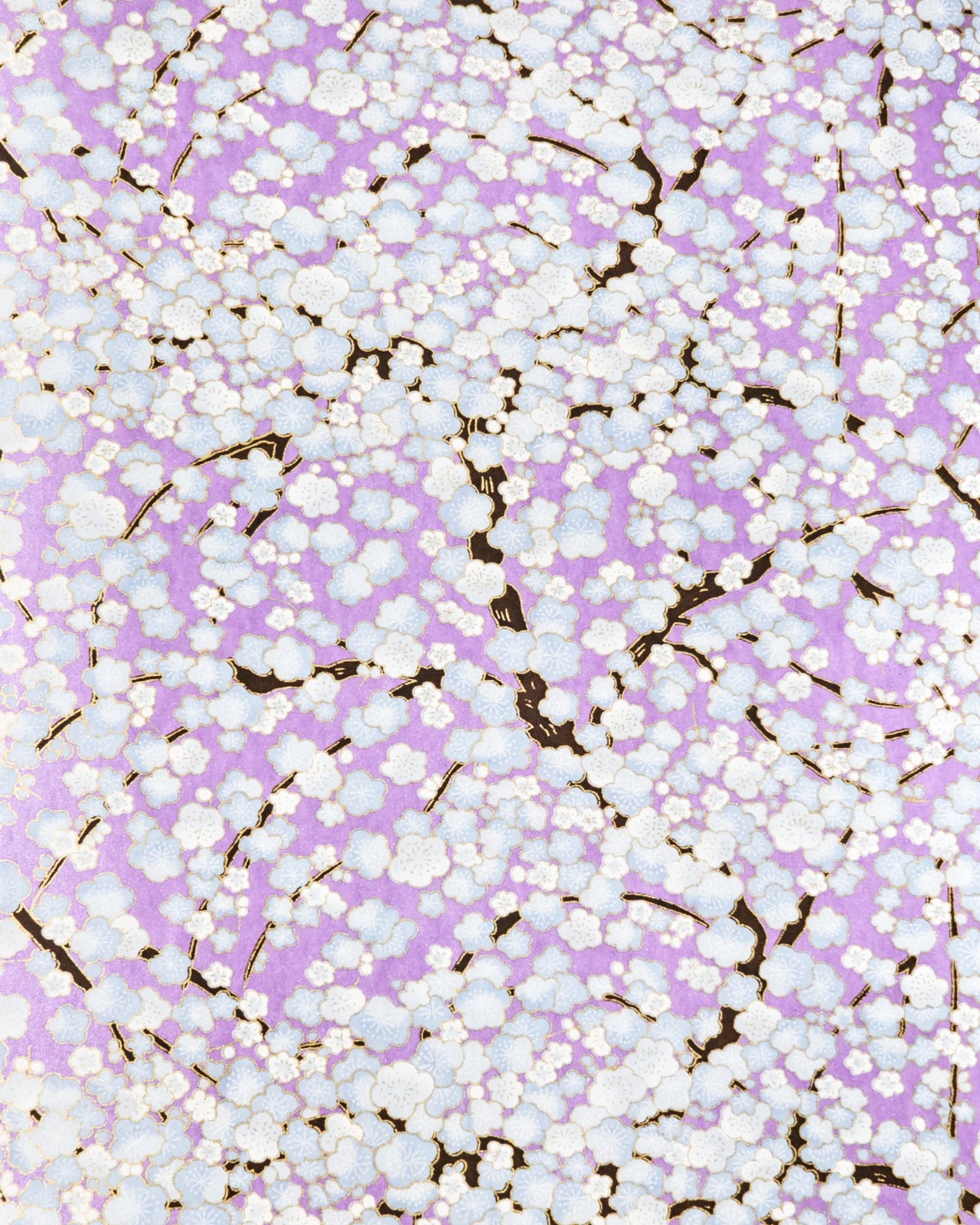 Japanese chiyogami paper featuring light blue plum blossom trees with dark brown branches on a pearlescent light purple background with metallic gold details.