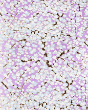 Japanese chiyogami paper featuring light blue plum blossom trees with dark brown branches on a pearlescent light purple background with metallic gold details.