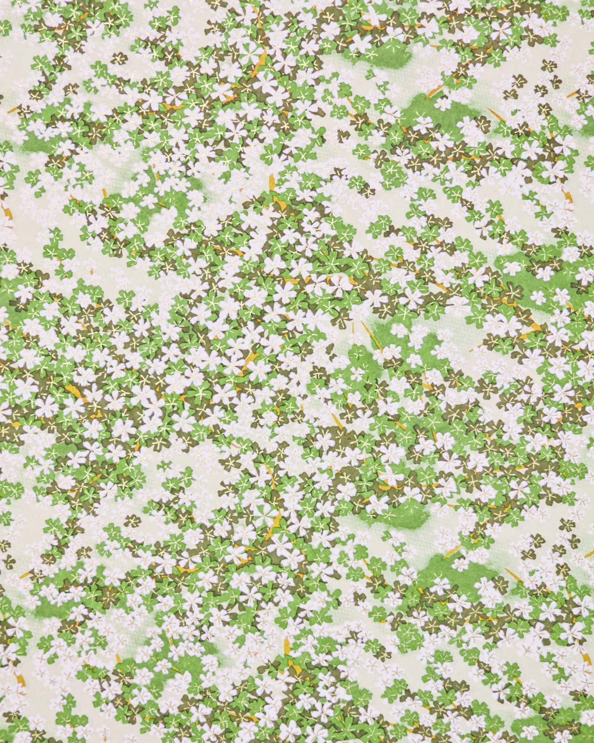 Japanese chiyogami paper featuring green and white cherry blossoms with light green branches on a green background with metallic gold accents.