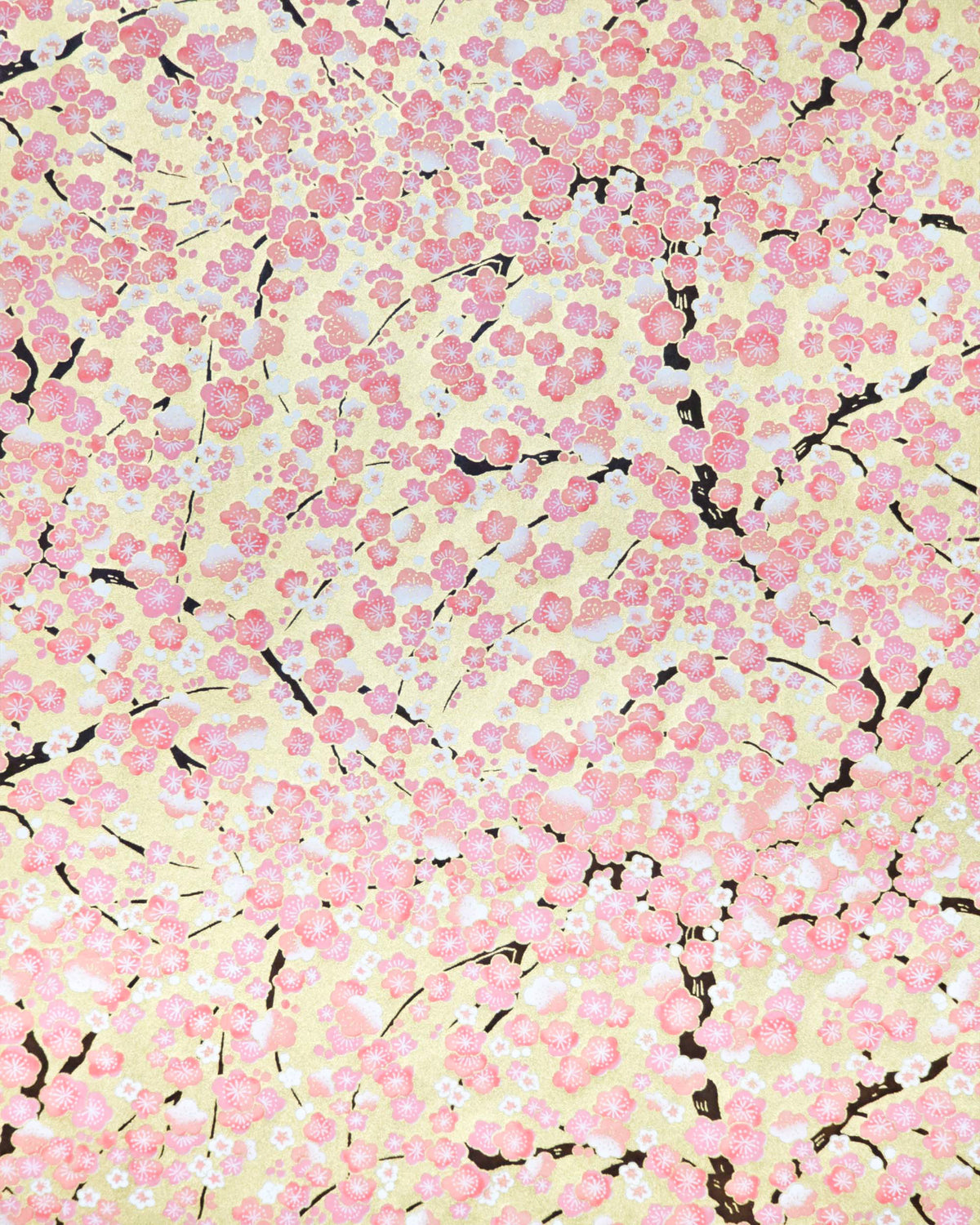 Japanese chiyogami paper featuring pink and white plum blossom trees with dark brown branches on a metallic gold background. 