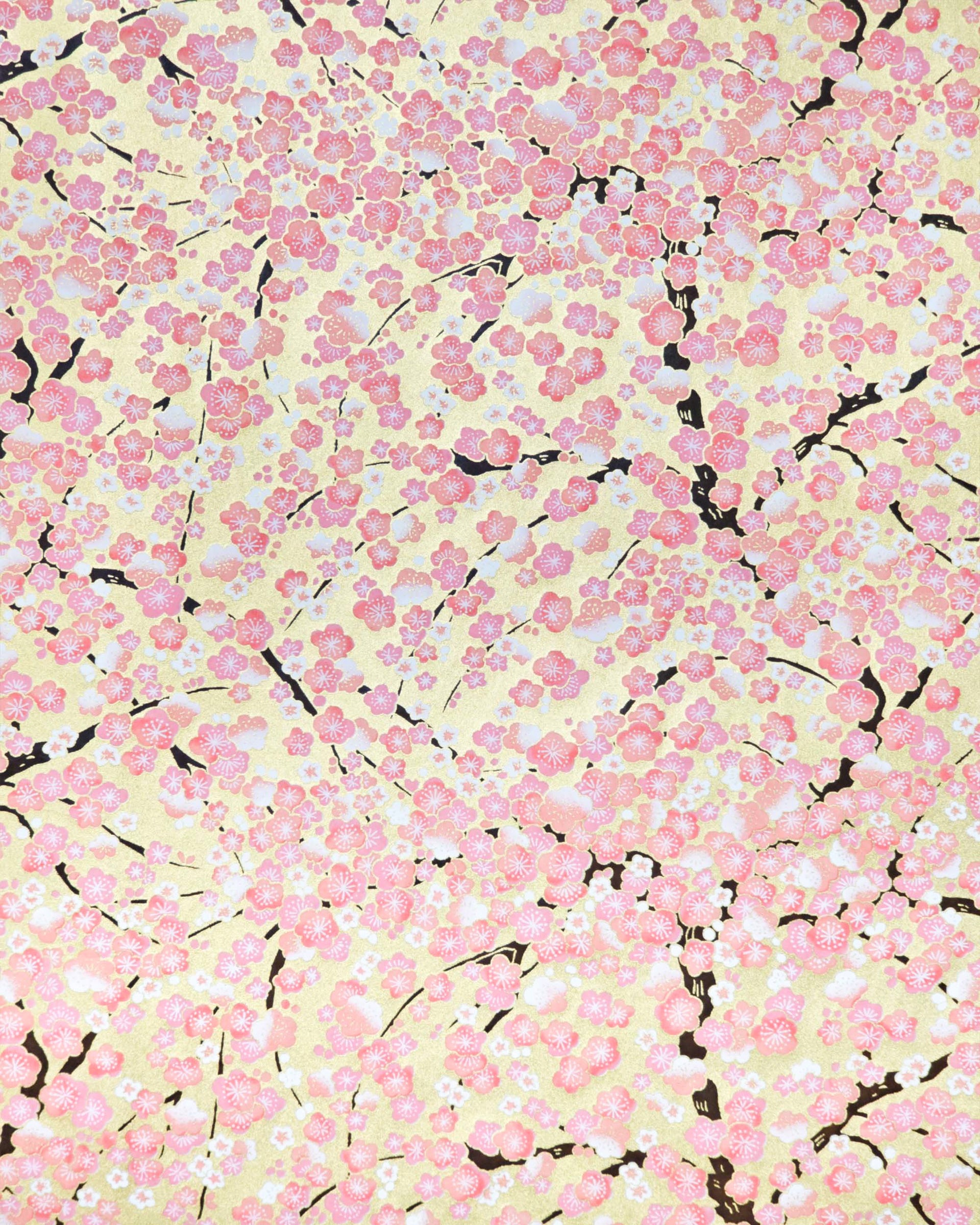 Japanese chiyogami paper featuring pink and white plum blossom trees with dark brown branches on a metallic gold background. 