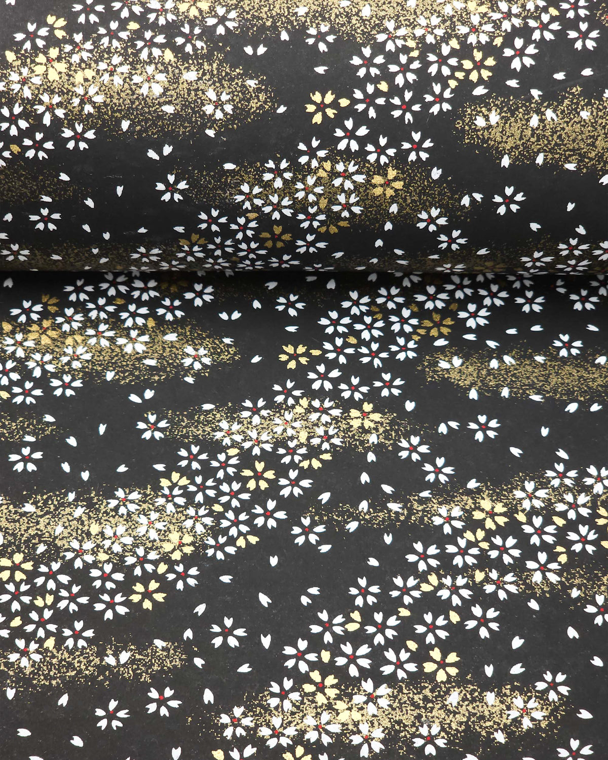 Japanese chiyogami paper featuring small white and gold cherry blossoms on a black background with metallic gold details, shown rolled to highlight the design.