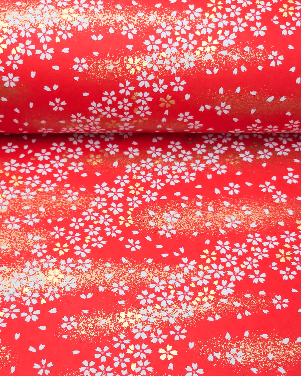 Japanese chiyogami paper featuring small white and gold cherry blossoms on a red background with metallic gold details, shown rolled to highlight the design.