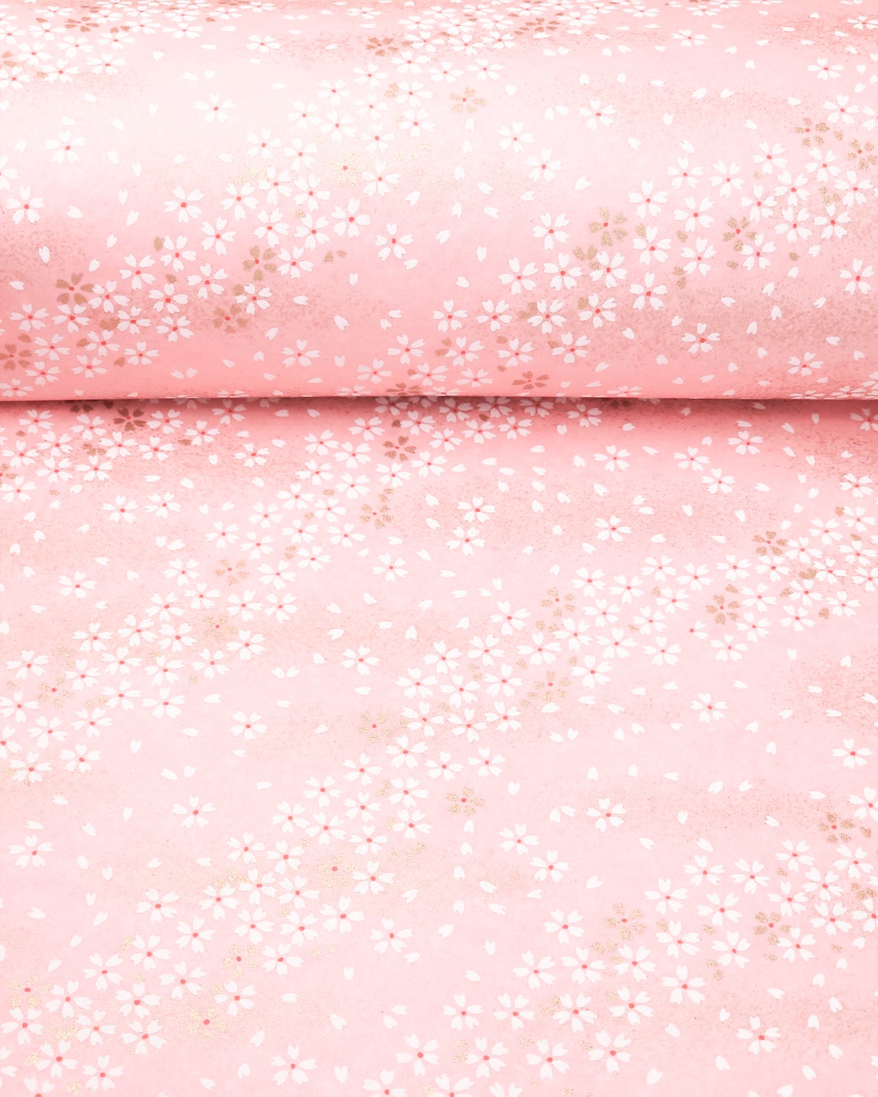 Japanese chiyogami paper featuring small white and gold cherry blossoms on a pink background with metallic gold details, shown rolled to highlight the design.