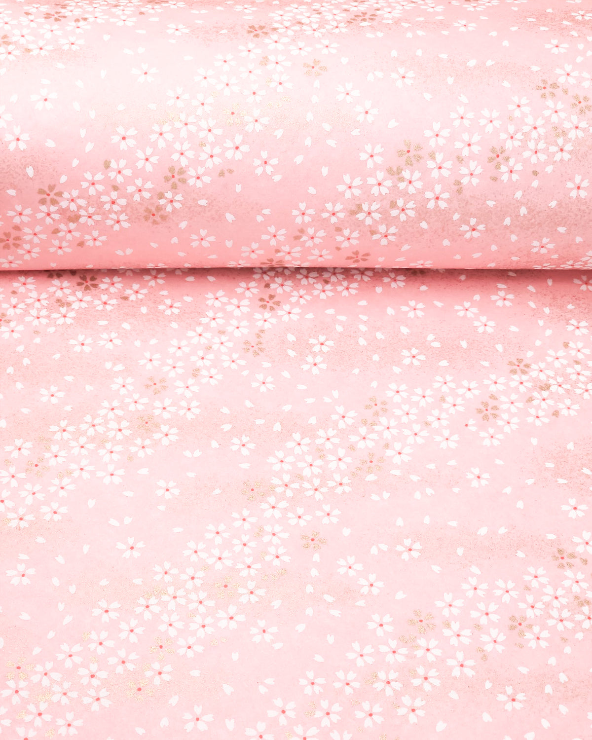 Japanese chiyogami paper featuring small white and gold cherry blossoms on a pink background with metallic gold details, shown rolled to highlight the design.