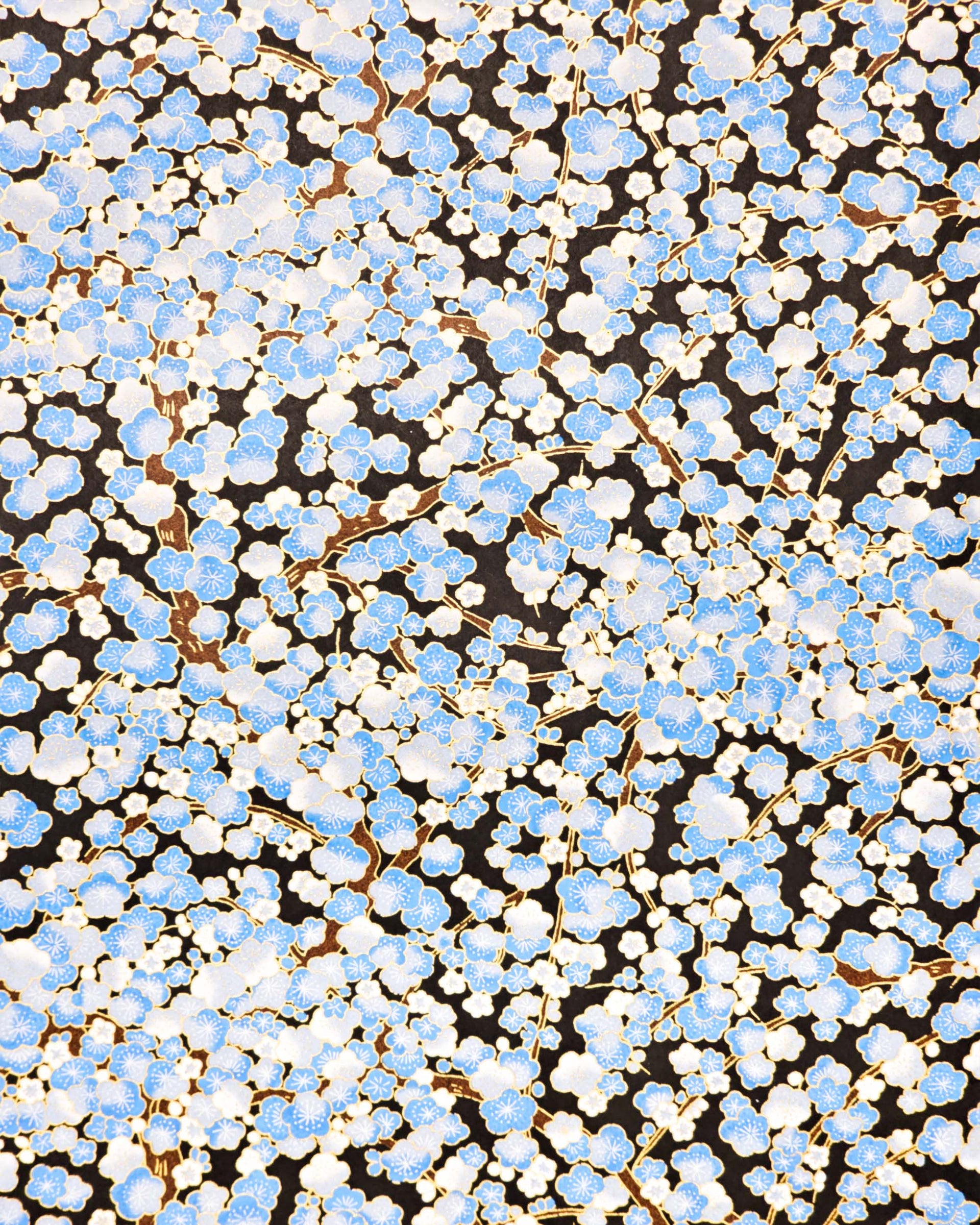 Japanese chiyogami paper featuring a blue plum blossom tree on a black background with metallic gold accents.