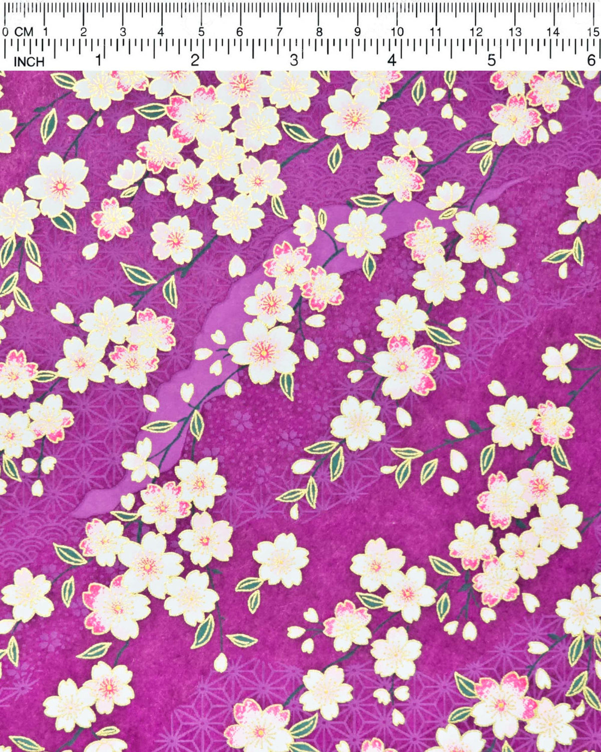Japanese chiyogami paper featuring pink and white cherry blossoms on a purple background with light asanoha (hemp leaf) and small cherry blossom silhouettes and metallic gold details, shown next to a ruler for size reference.
