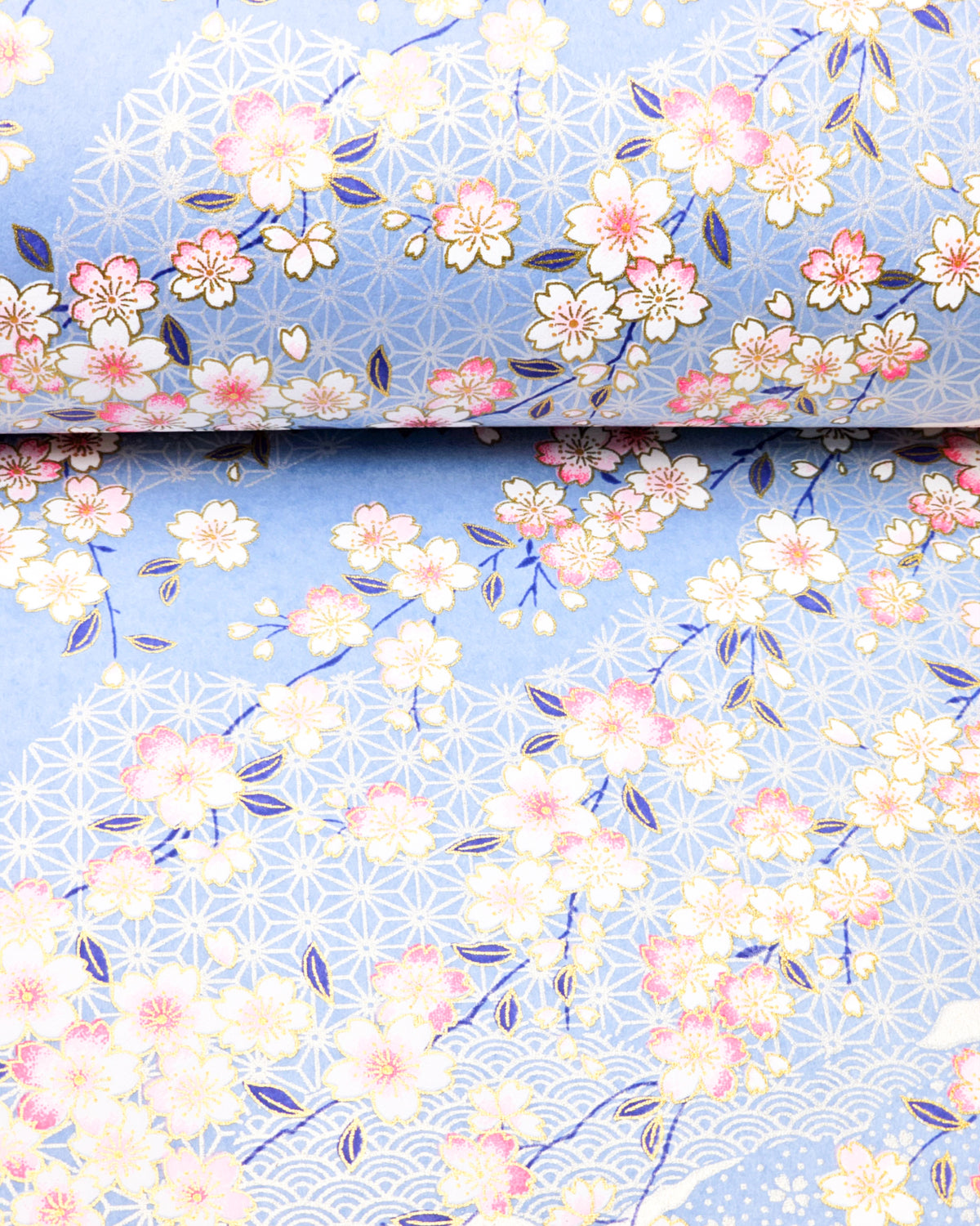 Japanese chiyogami paper featuring pink and white cherry blossoms on a light blue background with asanoha (hemp leaf) and small plum blossom patterns and metallic gold details, shown rolled to highlight the design.
