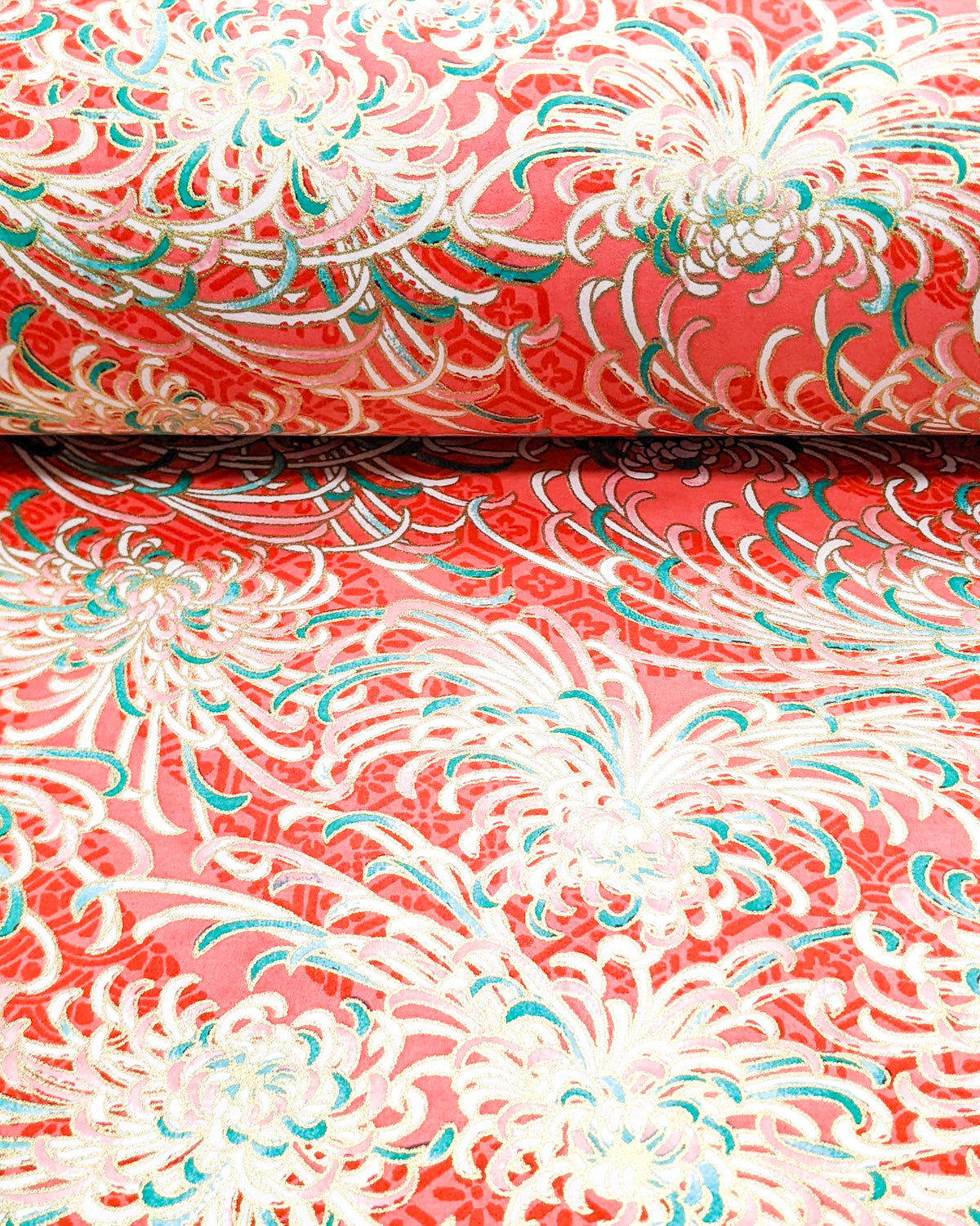 
Japanese chiyogami paper featuring red, green, and white chrysanthemums on a red background with metallic gold details, shown rolled to highlight the design.