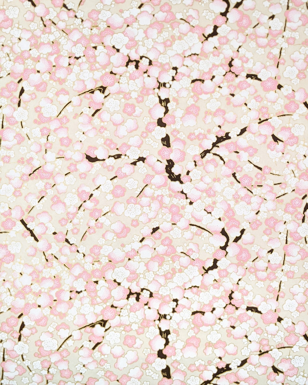 1065 Pale Pink & White Plum Blossom Tree on Cream