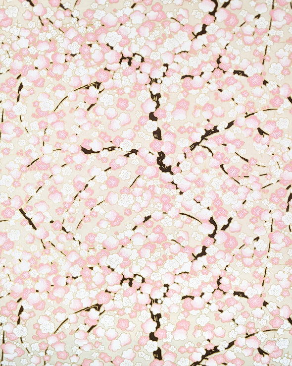 1065 Pale Pink & White Plum Blossom Tree on Cream