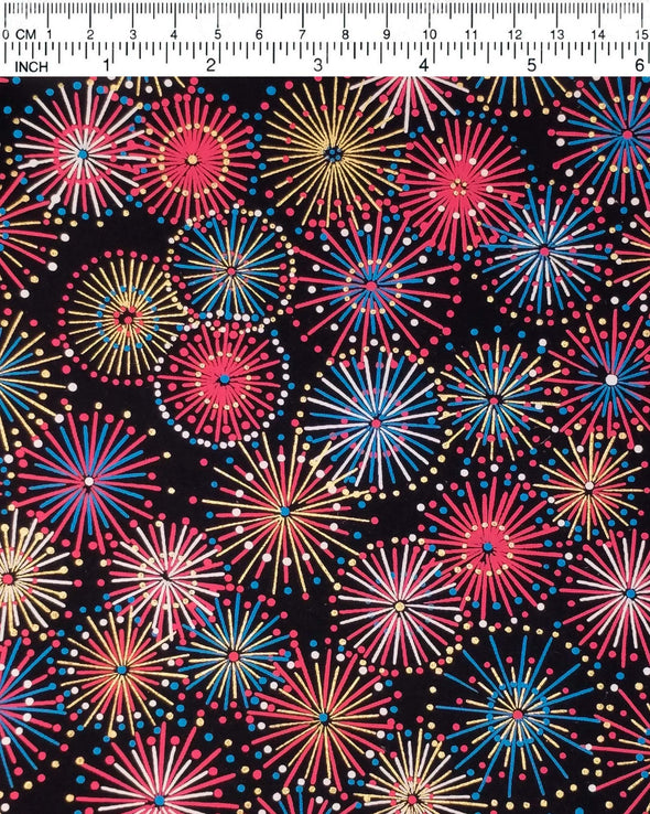 0412 Fireworks on Black