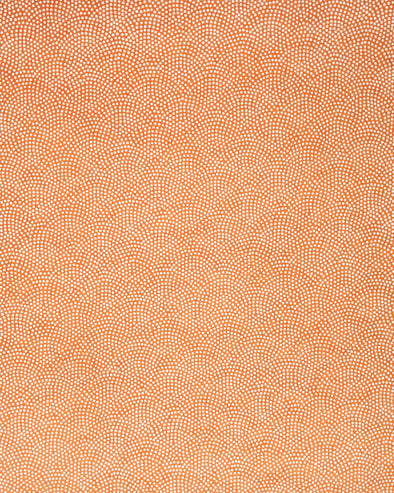 0528 White Same-Komon Design on Orange