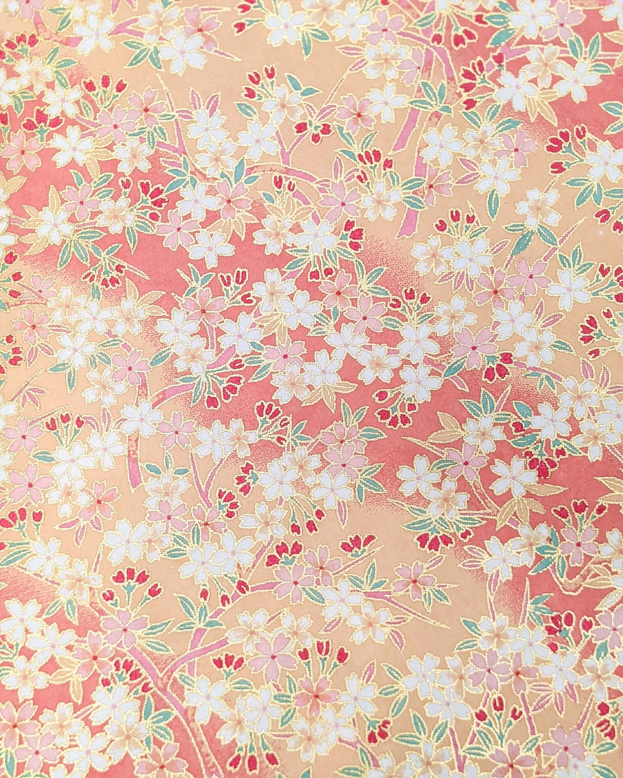 0566 Pink & White Cherry Blossoms on Pink