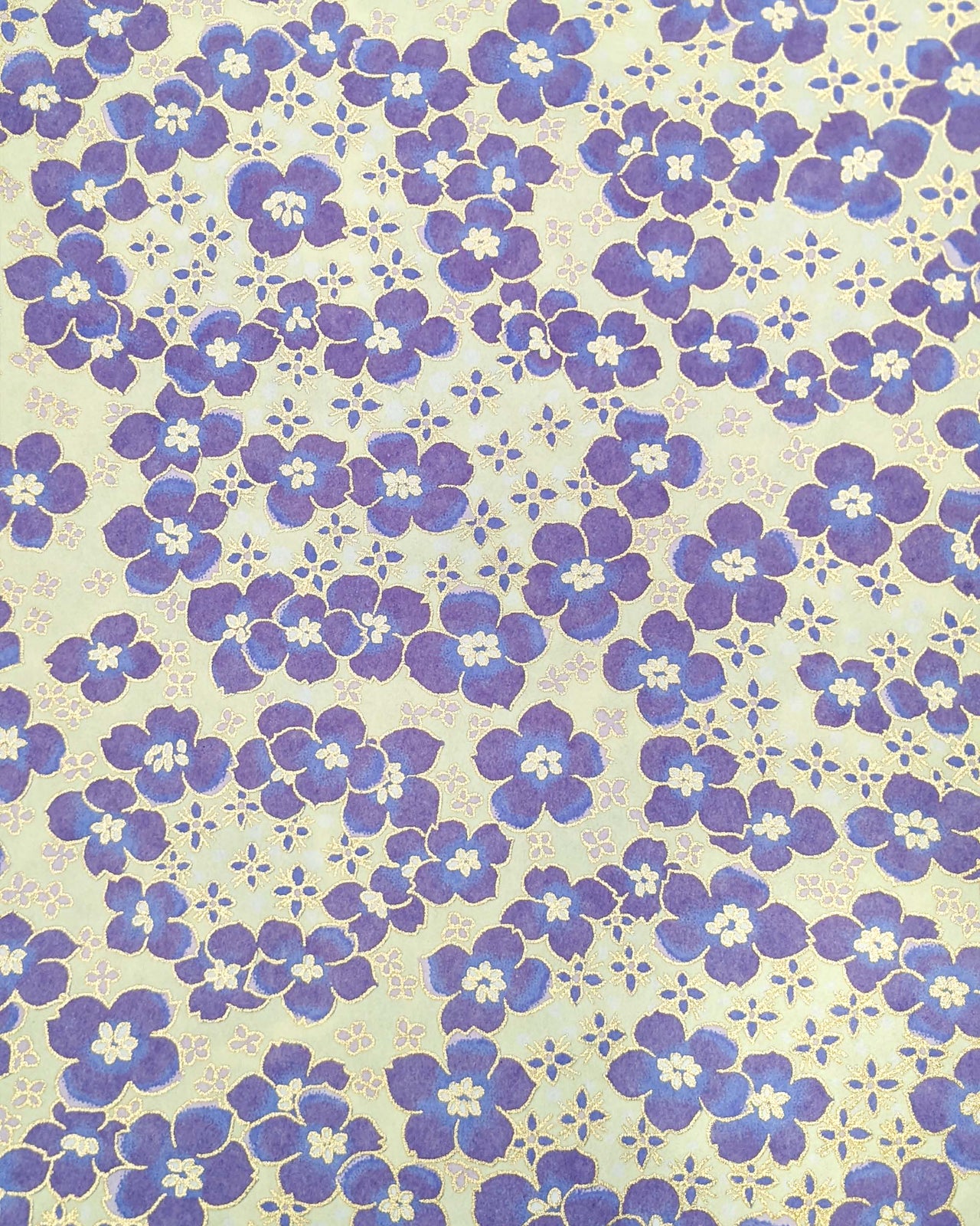 0628 Purple Cherry Blossoms on Cream